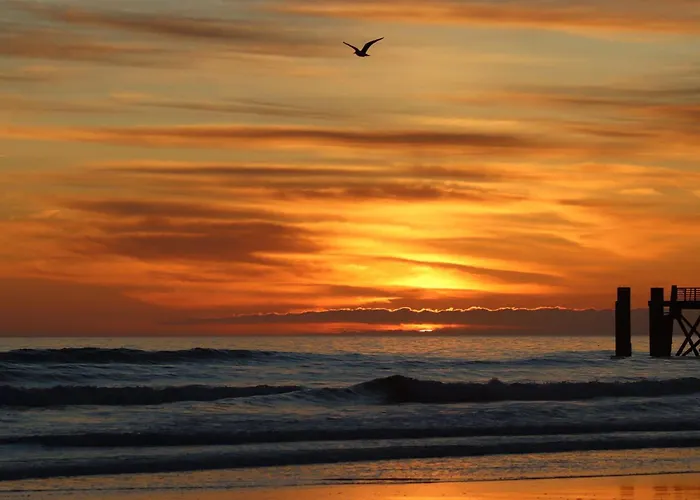 Daire Le Nid Montois, 50m De La De La Baigneuse *