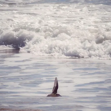 Le Nid Montois, 50m De La De La Baigneuse アパート サン・ジャン·ド・モン