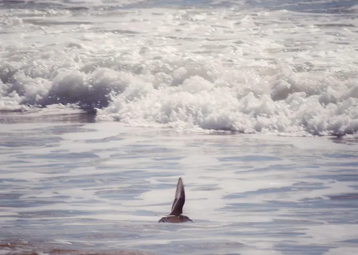 Le Nid Montois, 50m De La De La Baigneuse דירה סן ז'אן דה מון
